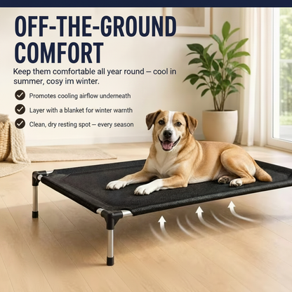 PetiQ FrameRest Bed - Lifestyle